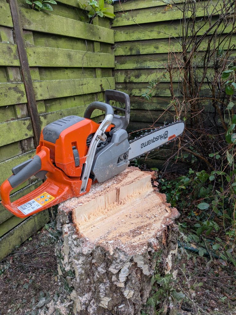 Abattage d'un arbre à ploufragan