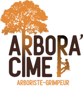 Logo Arbora'Cime - Elagueur grimpeur Sainnt-brieuc