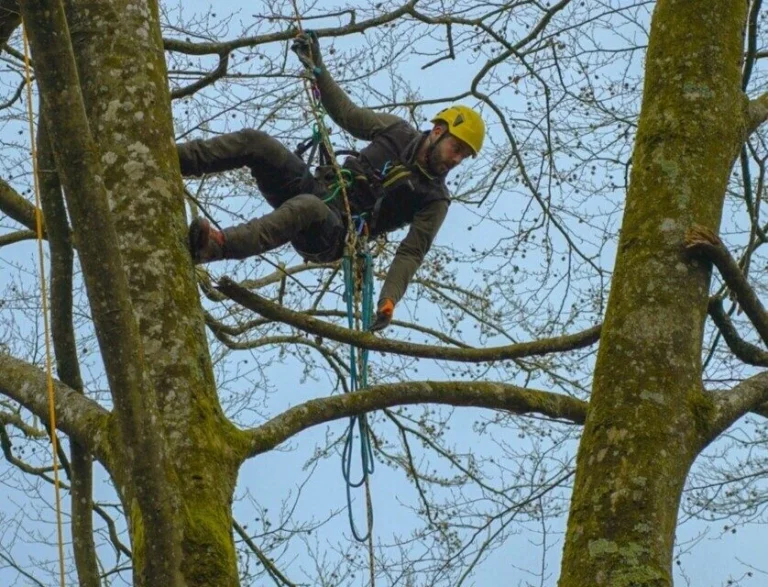Article de actu.fr photo Com'Léa